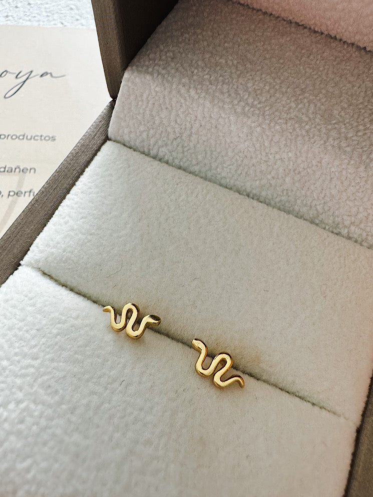 Aretes pegados serpiente