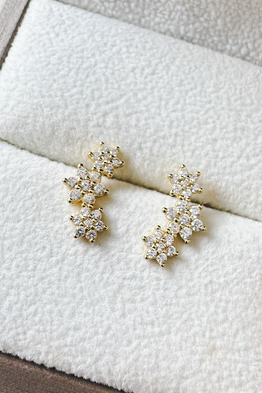 Aretes pegados trepadores 3 rosetas