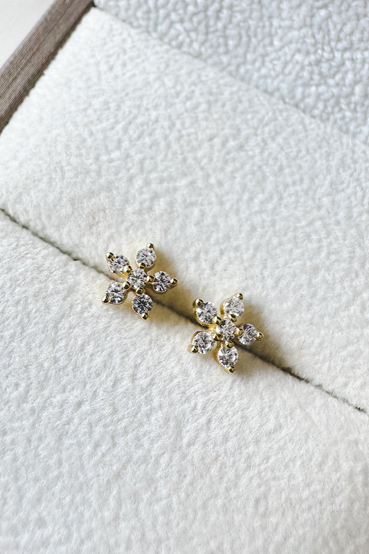 Aretes pegados roseta