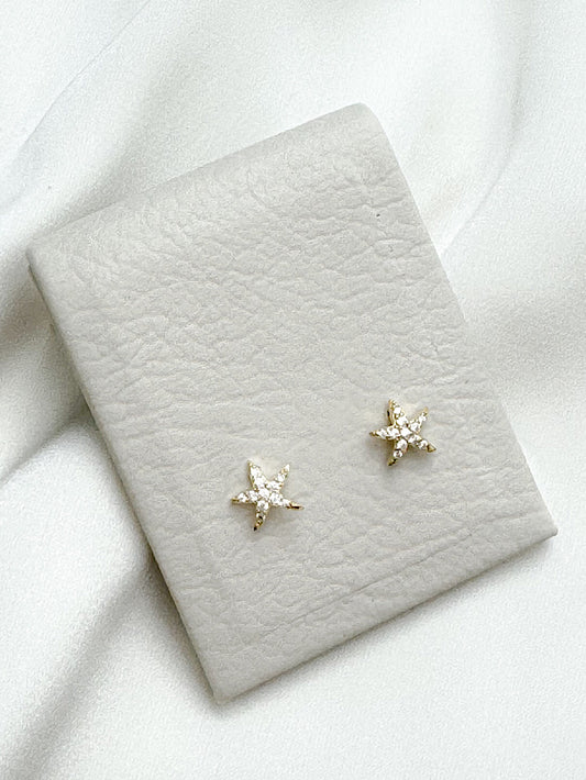 Aretes pegados estrella de mar