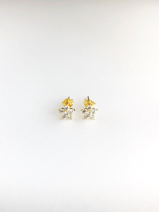 Aretes pegados roseta con circones