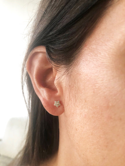 Aretes pegados roseta con circones