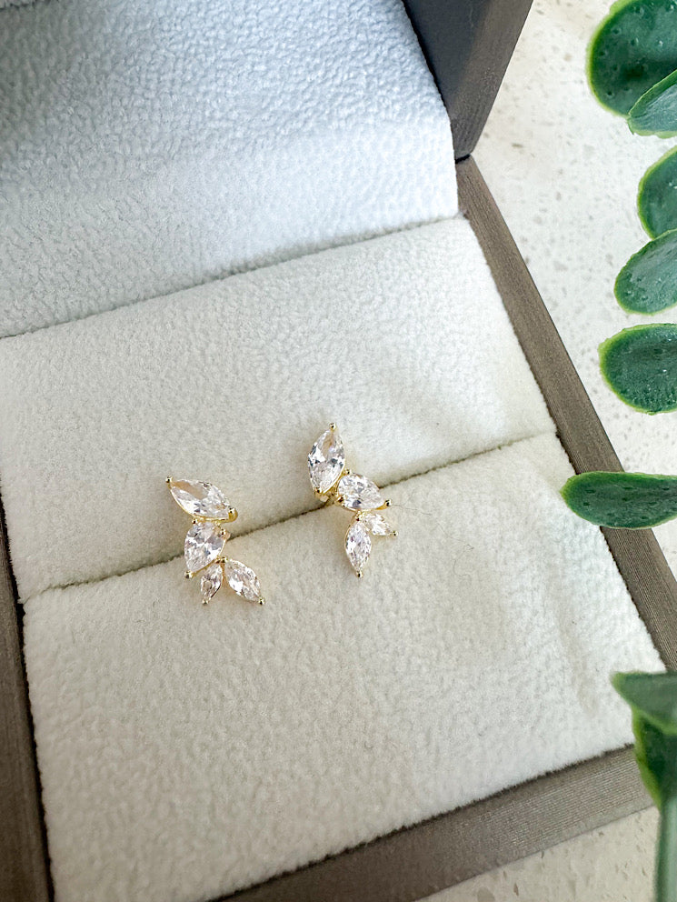 Aretes pegados trepadores 4 circones en hojas