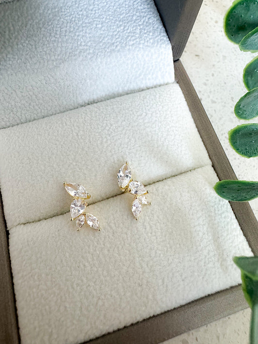 Aretes pegados trepadores 4 circones en hojas